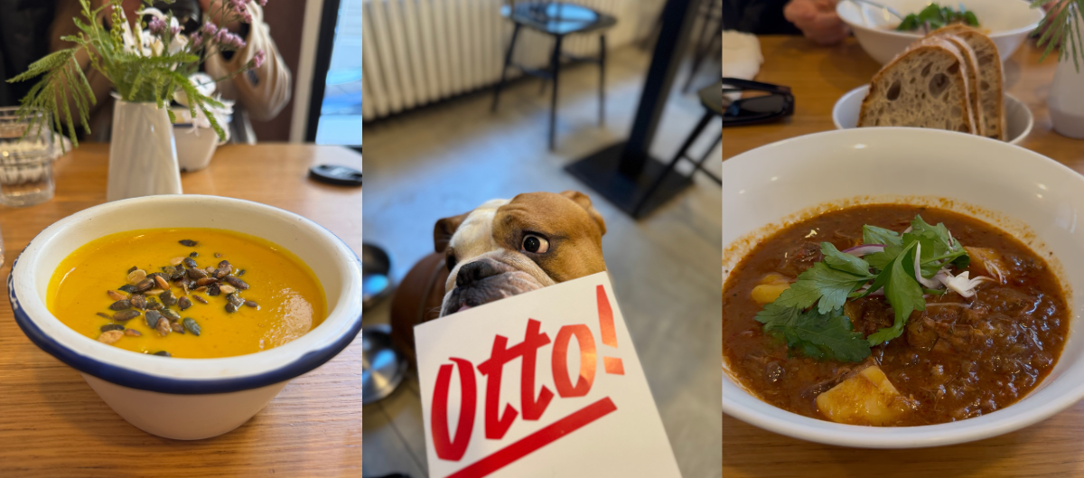 otto bratislava recenzia